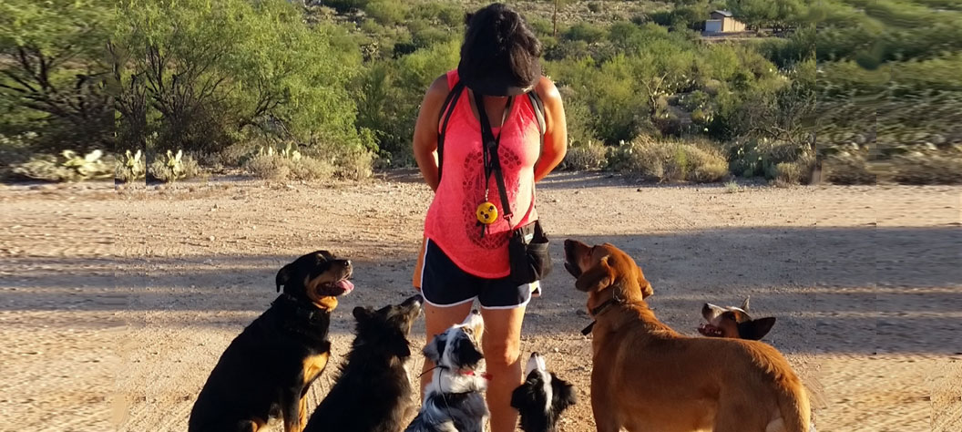 New Dogs – Old Trix