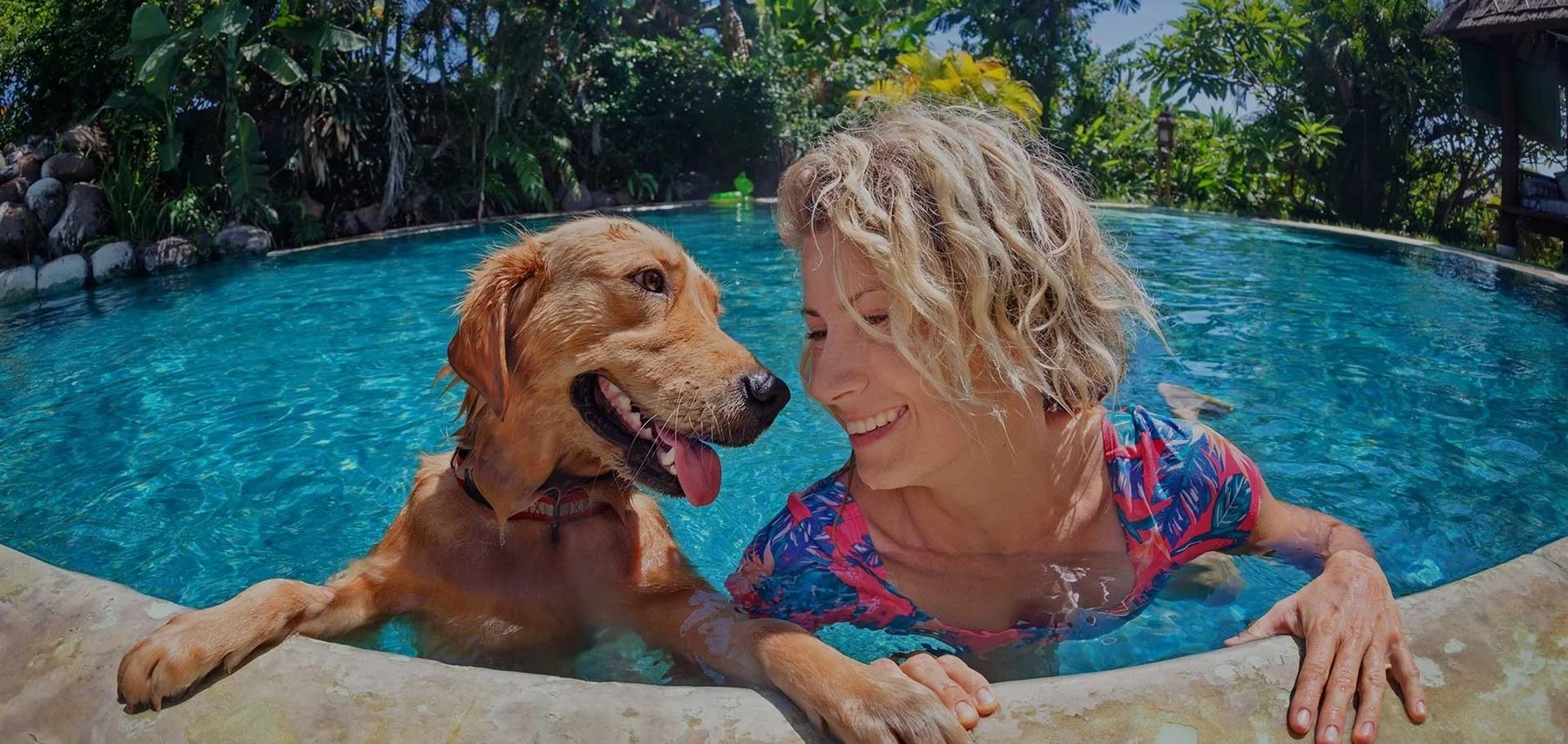 Click!Pawsitive Dog Training