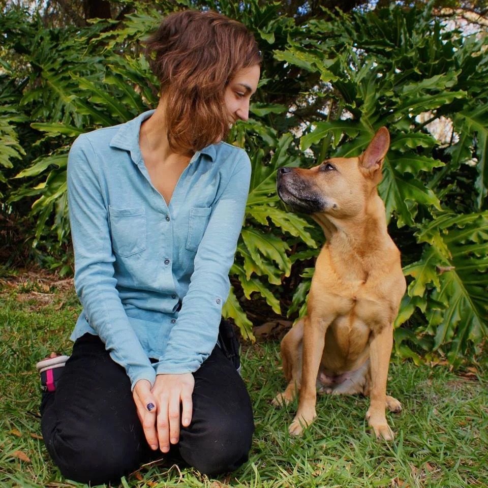 My Sidekick Dog Training — dog trainer in Detroit, MI