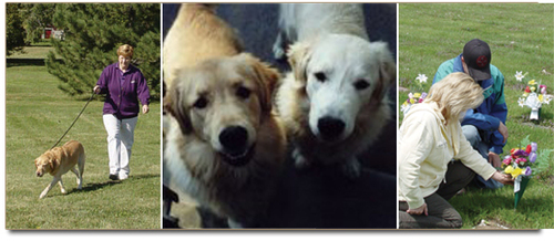 AAA Pet Services