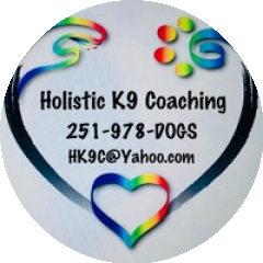 Holistic K9 Coaching