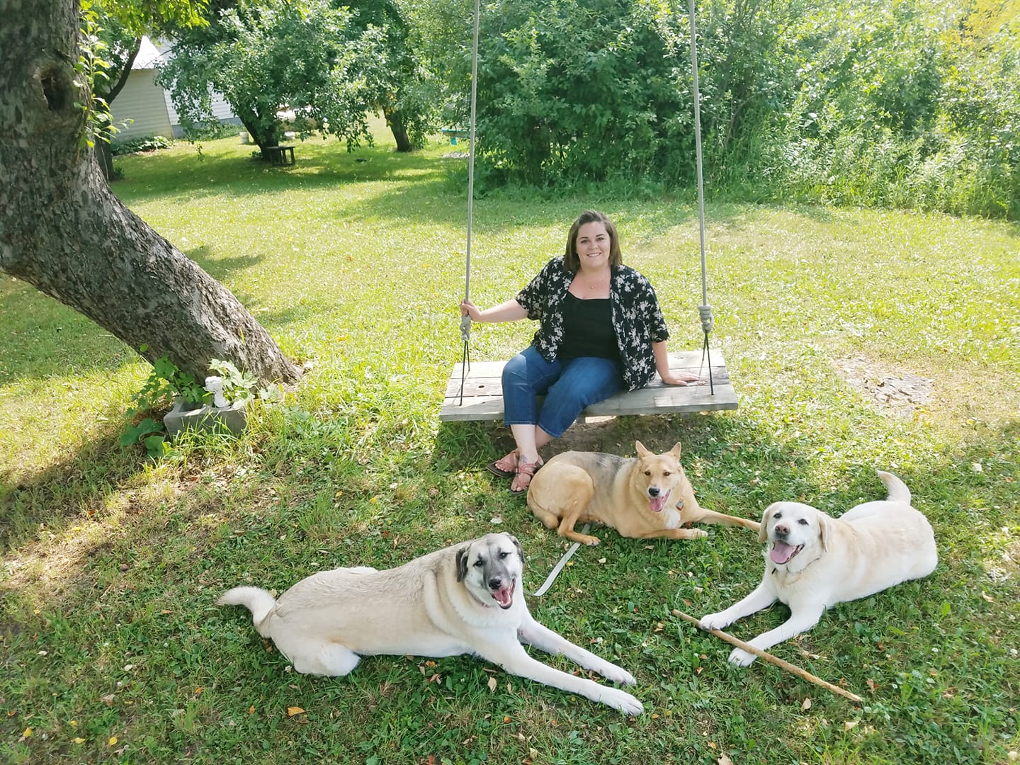 Canine Communication