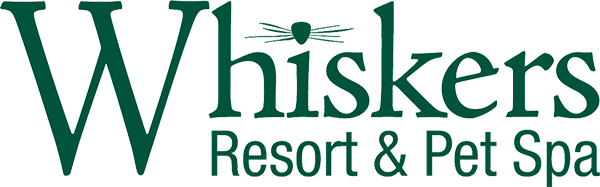 Whiskers University logo