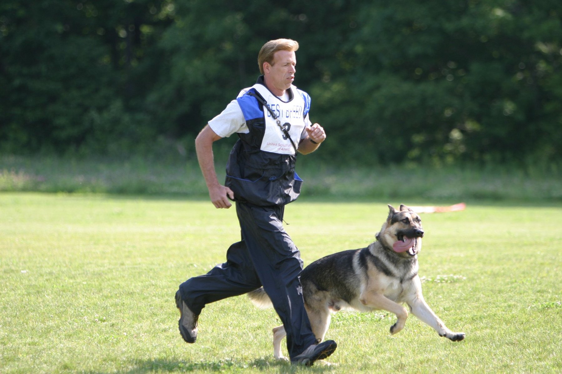 Acadia Canine Academy
