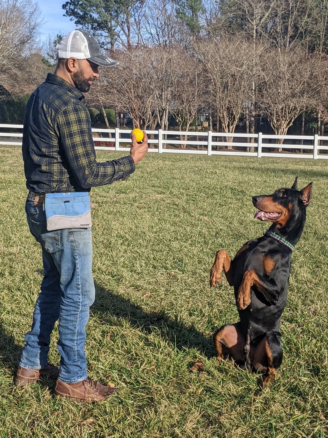 Paws and Effect RVA