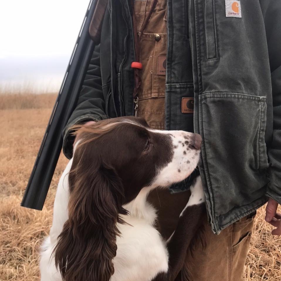 GoodLife Kennels