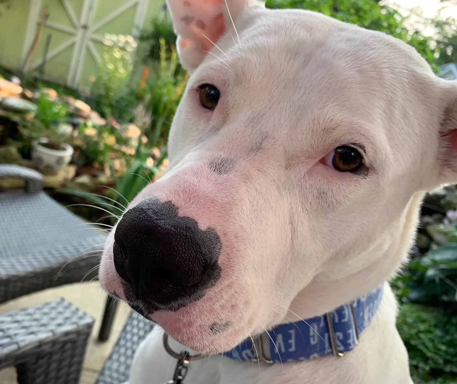 My Sensitive Tyke, LLC