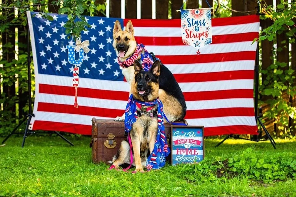 Eye of Oden K9 Training