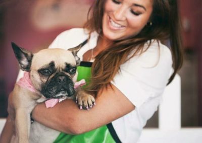 Yuppy Puppy Pet Spa