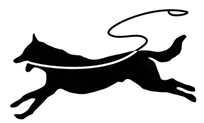 Lead With Fun logo