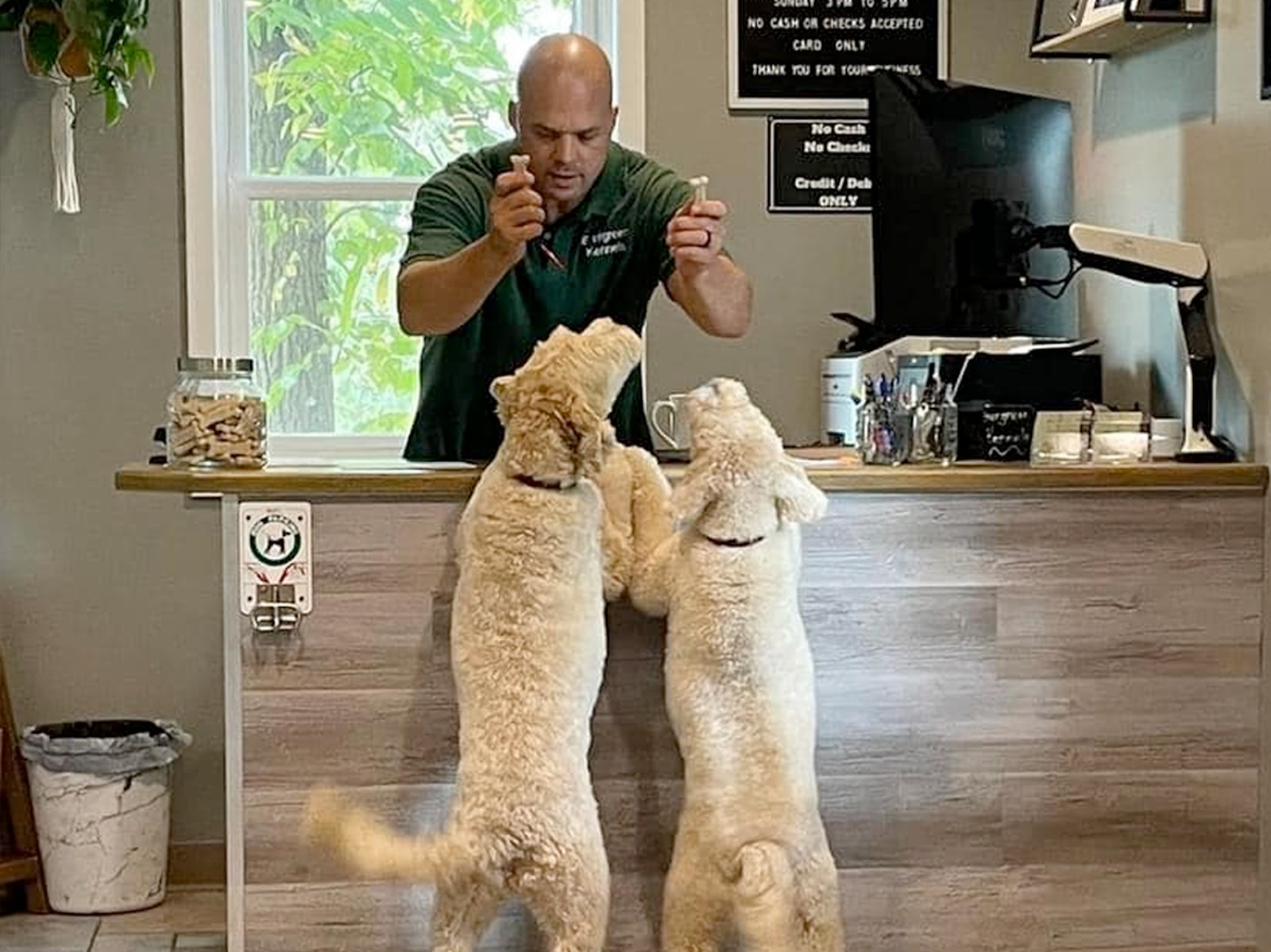 Evergreen Kennels (Batavia)