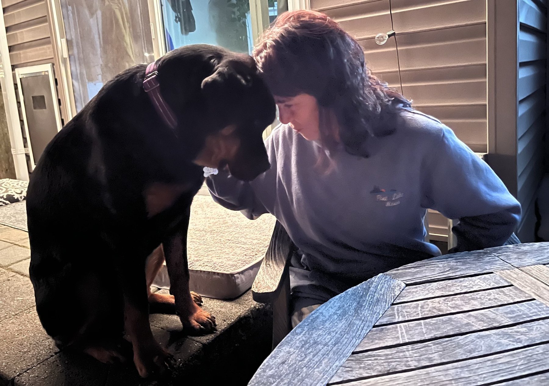 MadKat Dog Training