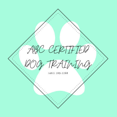 ABC Certified Dog Training