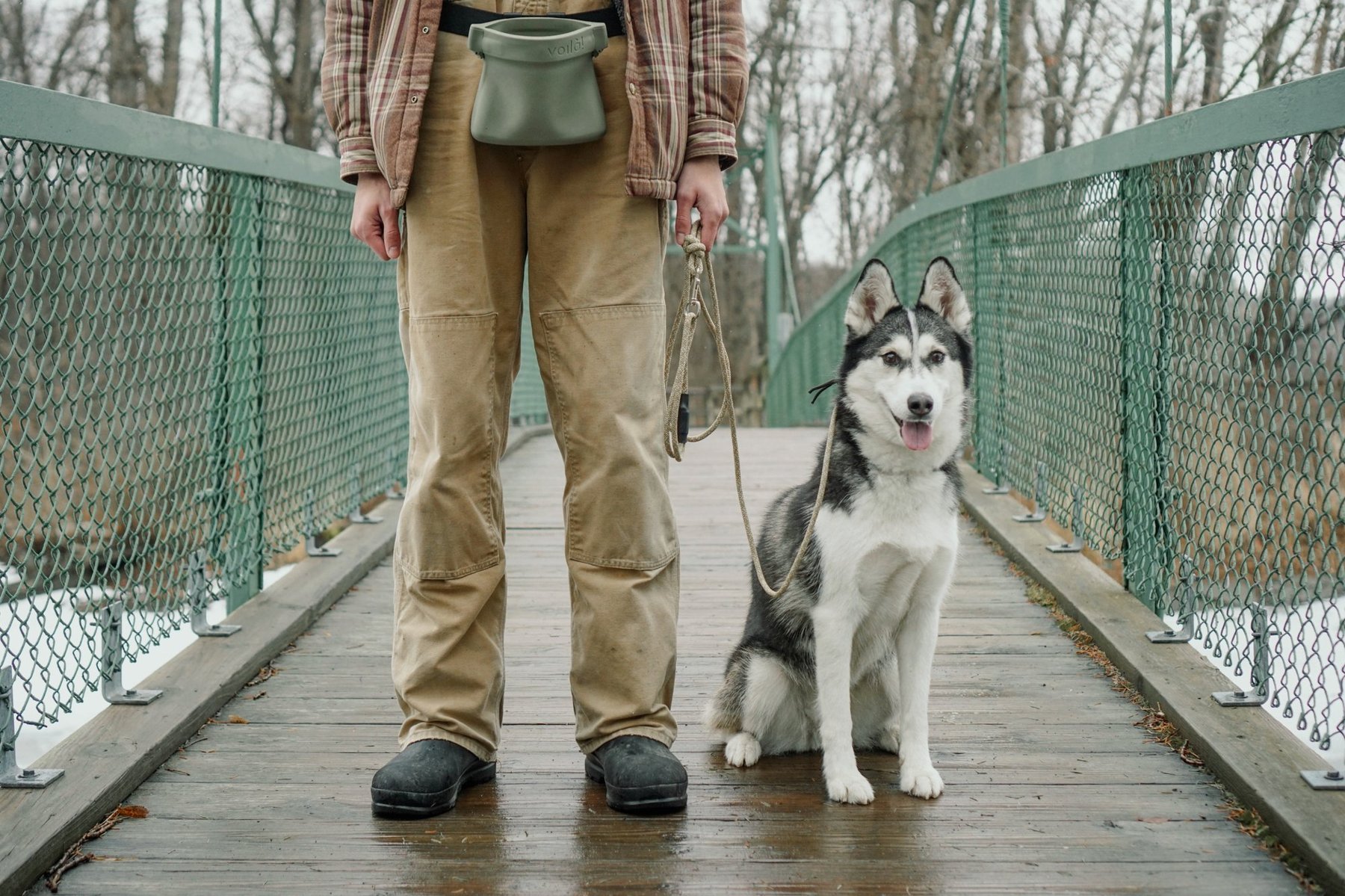 RMA Canine — dog trainer in Binghamton, NY