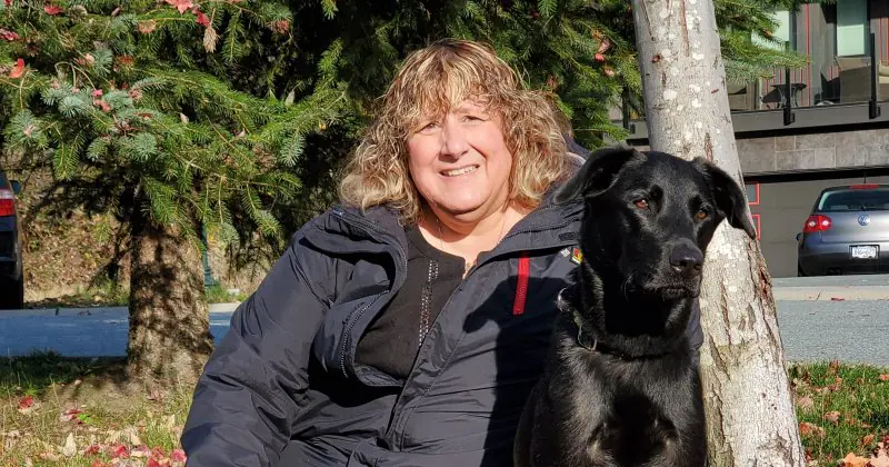 Bark Busters of Columbus & Auburn