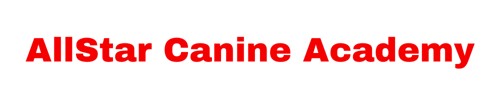 AllStar Canine Academy logo