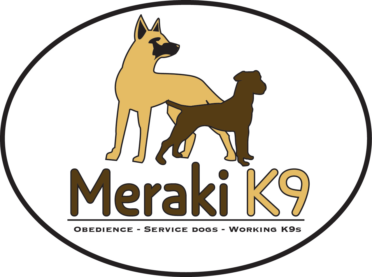 Meraki K9