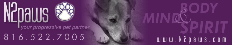 N 2 Paws