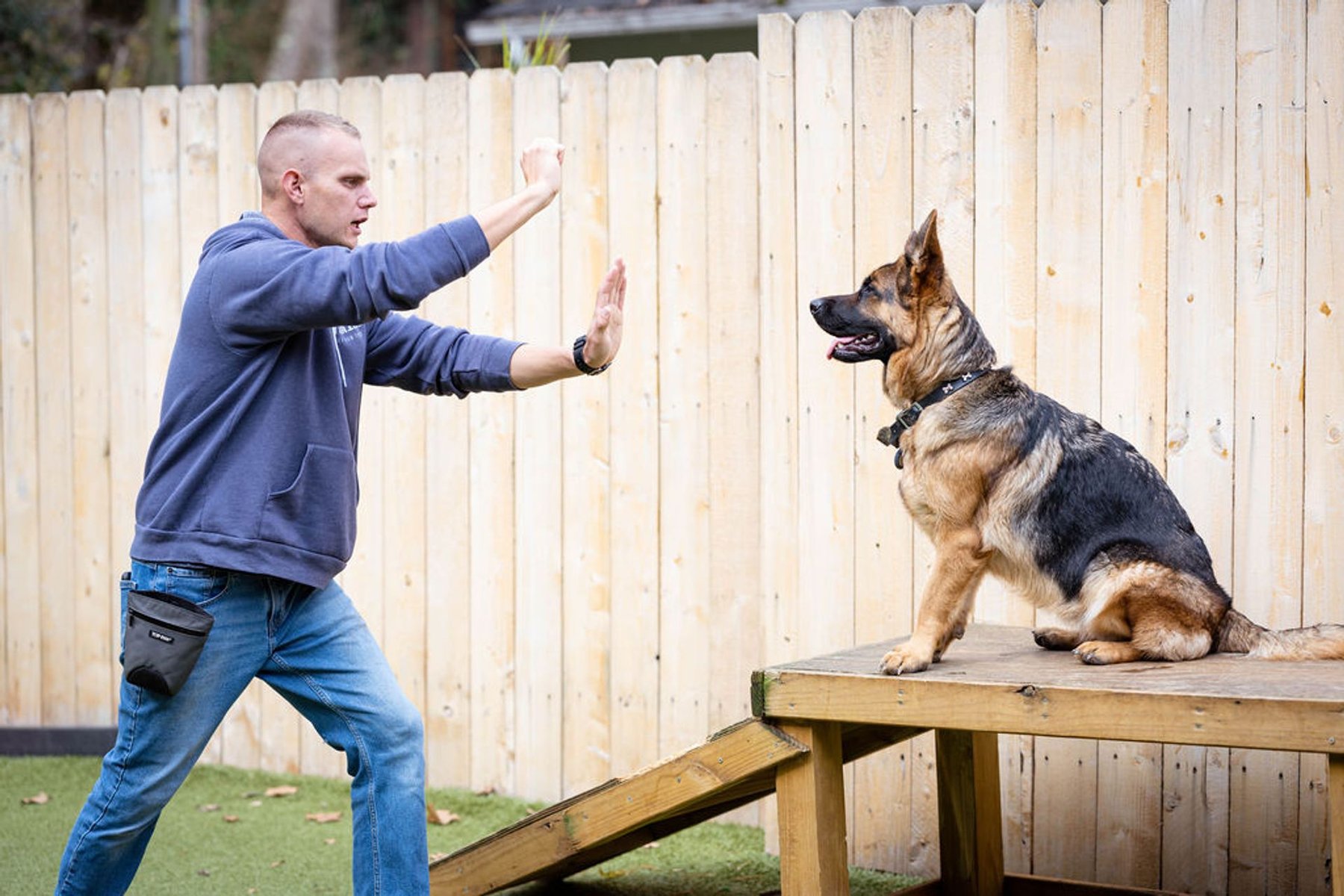 Troubled to Trained