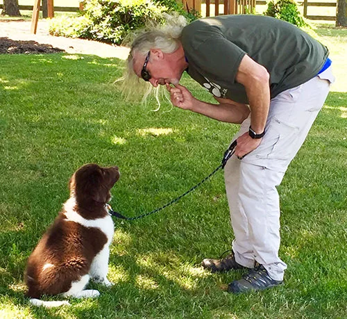 Bob Minchella’s dog owner counseling