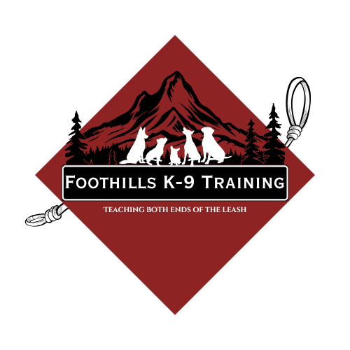 Foothills K9 Training LLC