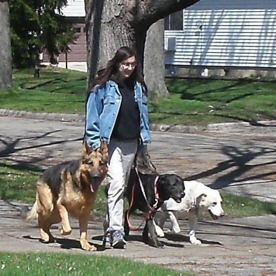 Silver Line Dog Training