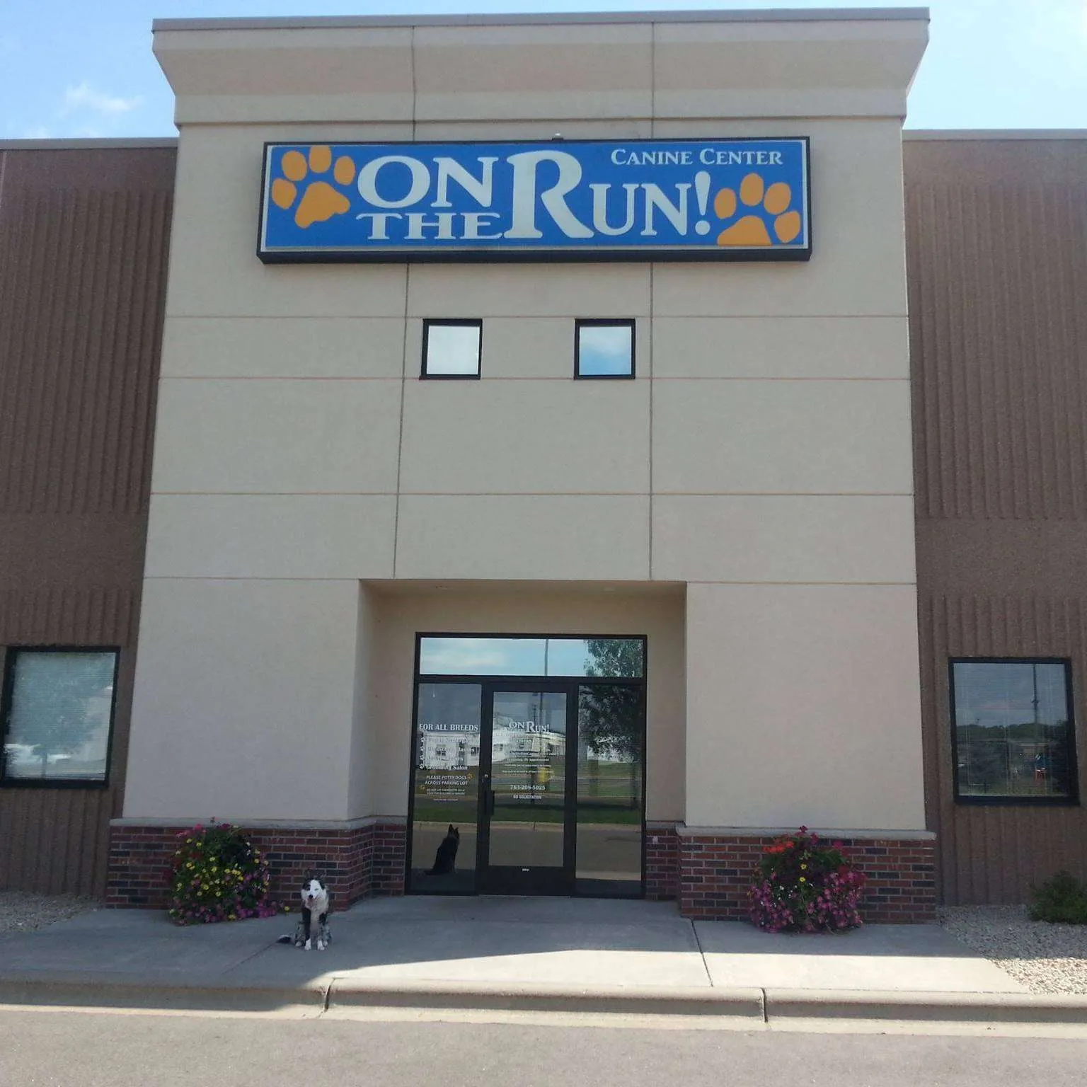 On The Run Canine Center