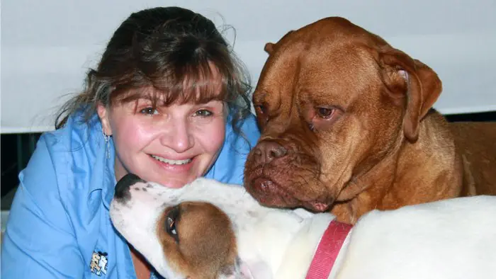 Bark Busters Home Dog Training of Knoxville
