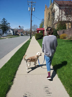 Onward Bound Incredible Dog Training and Grooming