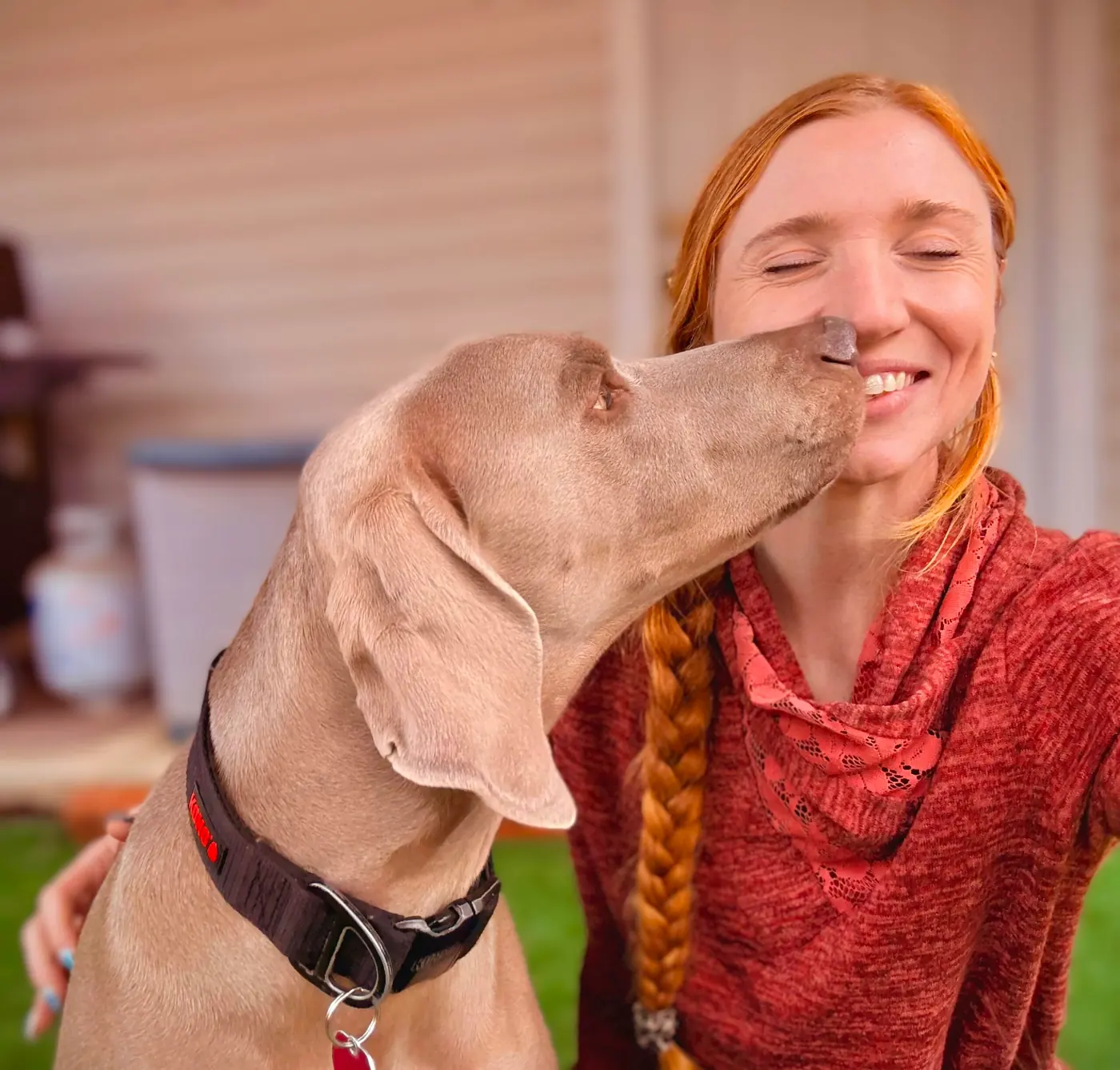 Georgia Doggy Dojo LLC
