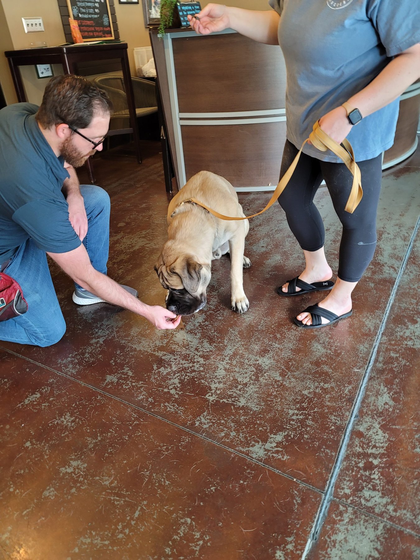 Youngs Dog Training LLC