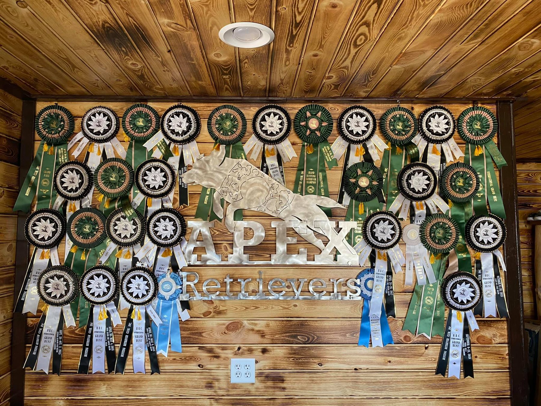 Apex Retrievers