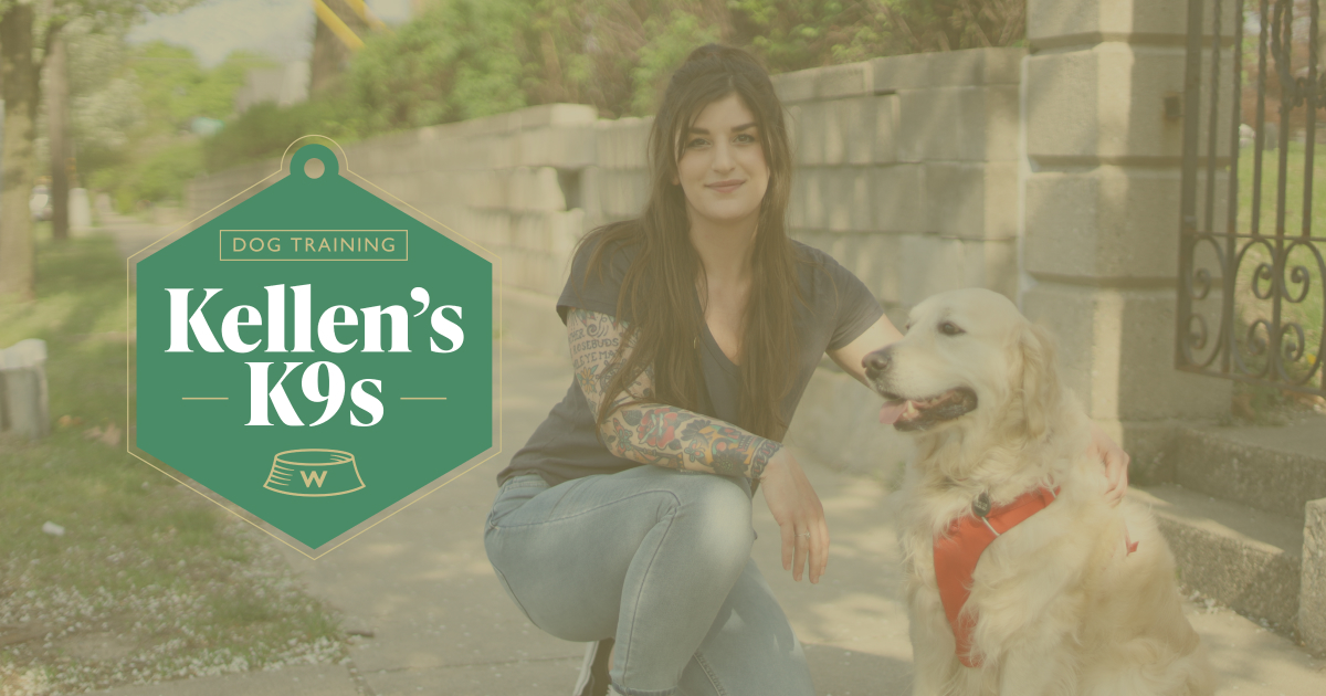 Kellen’s K9s