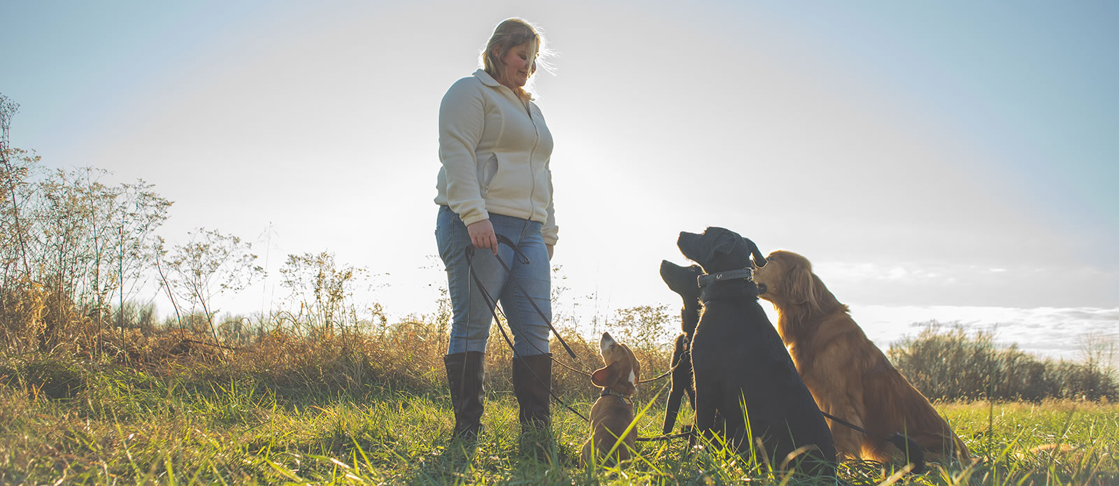 Golden Standard Canine Training