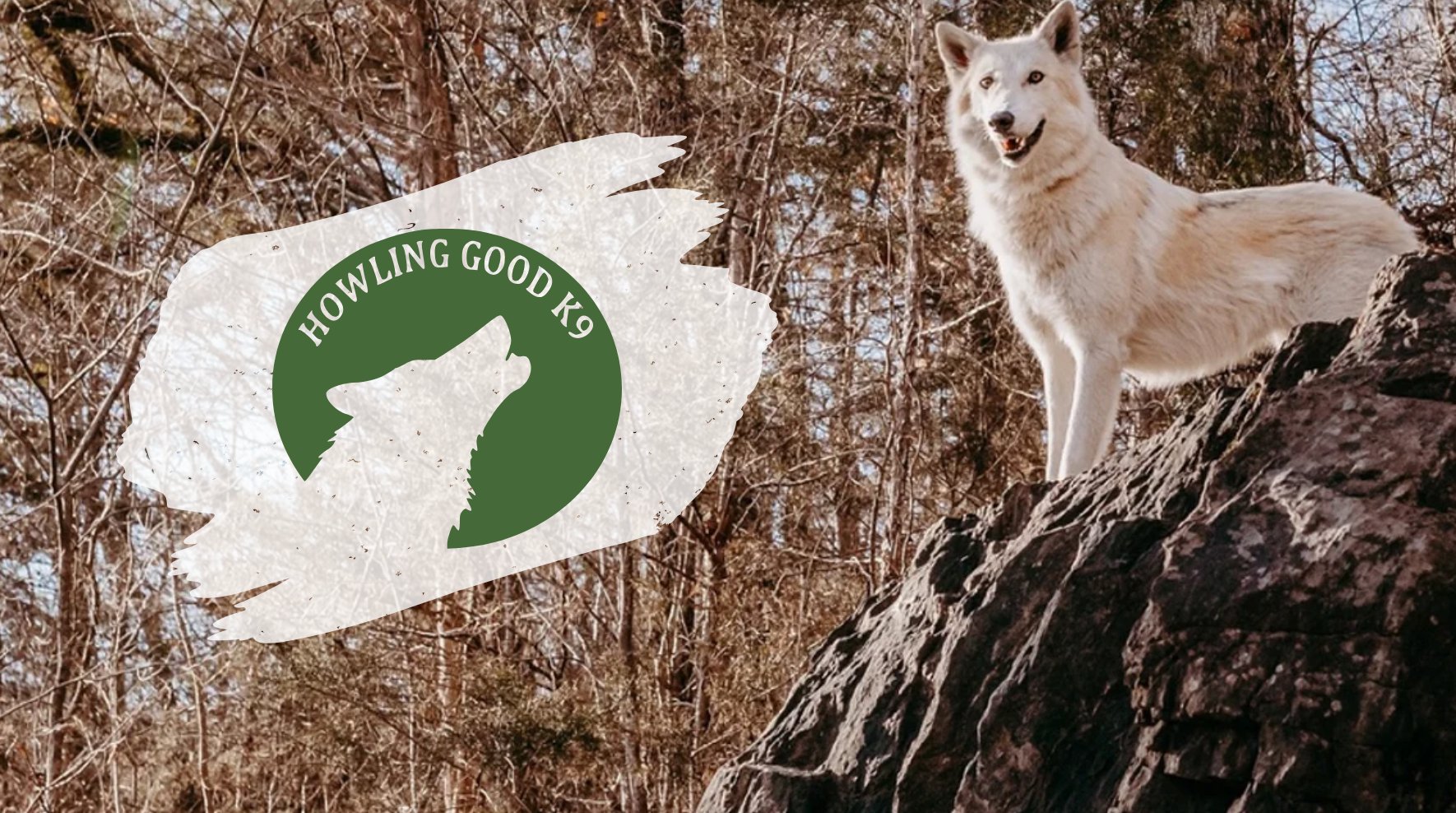 Howling Good K9 — dog trainer in Greenville, SC