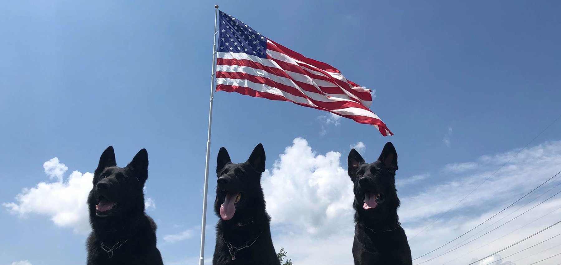Patriot K9s Of Wisconsin