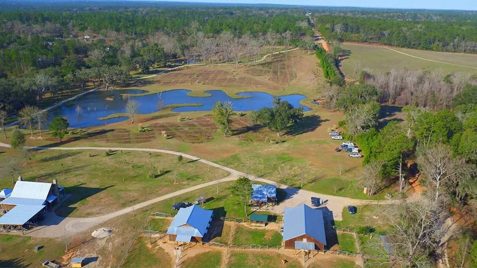 Dog Pond Kennels