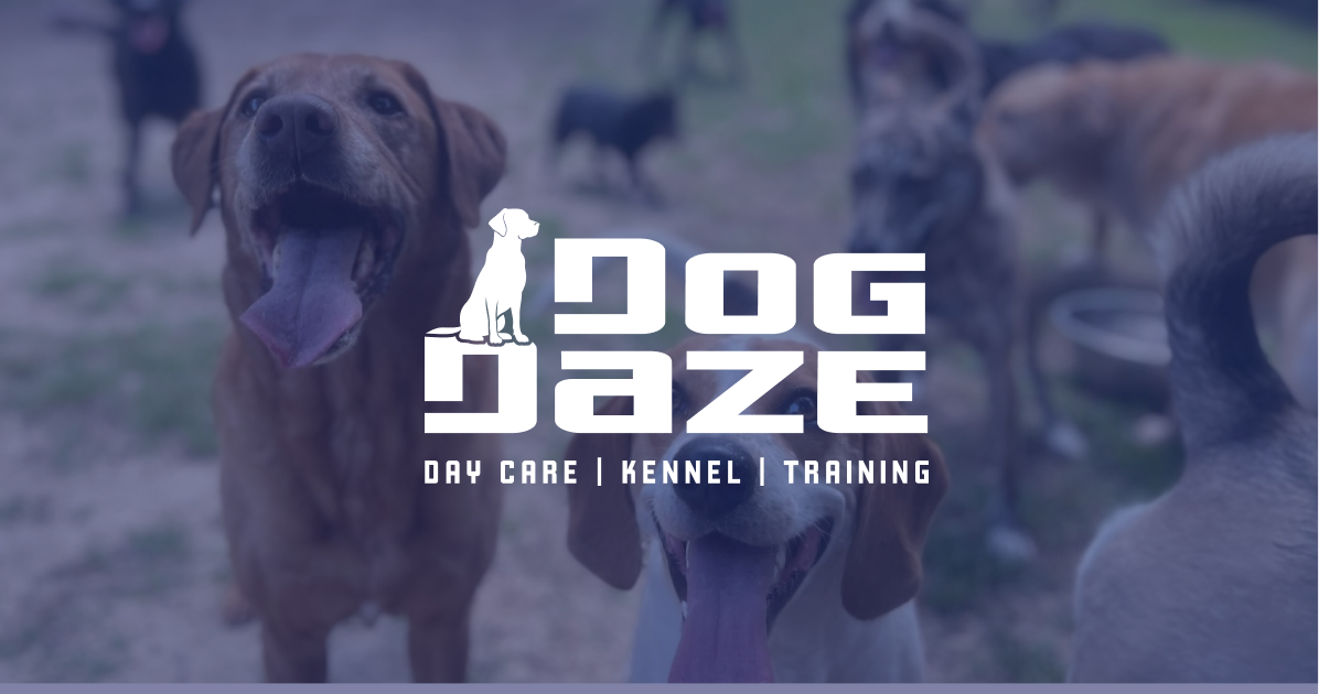 Dog Daze