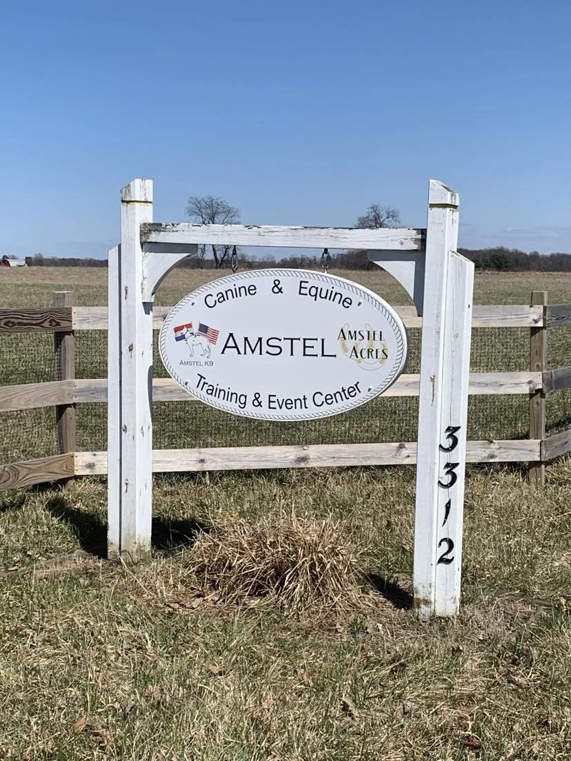 Amstel K9 — dog trainer in Lansing, MI