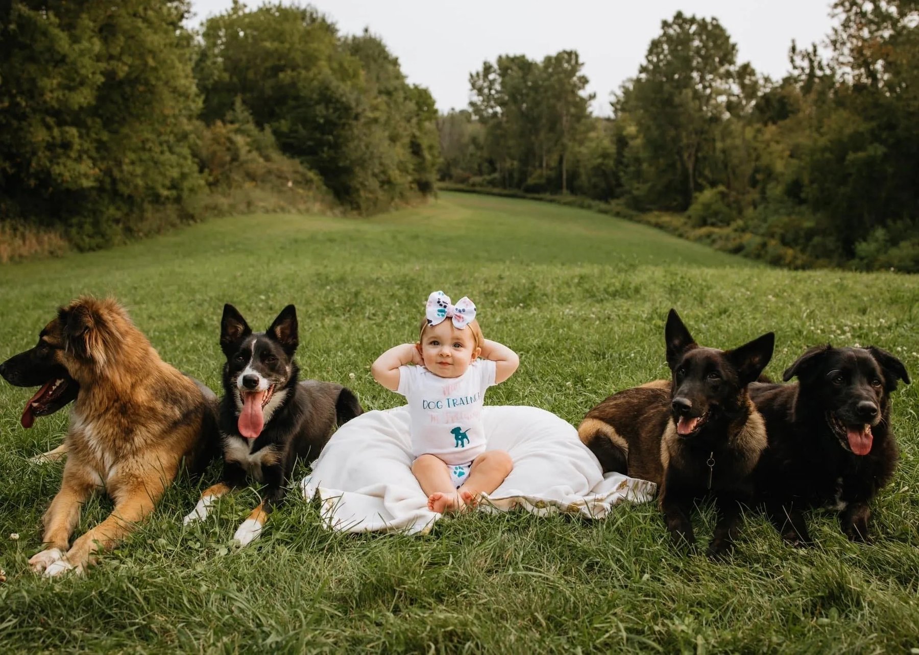 Ruff K9 — dog trainer in Grand Rapids, MI