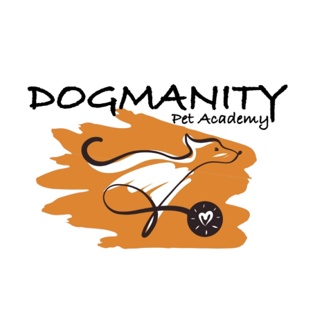 Dogmanity Pet Academy