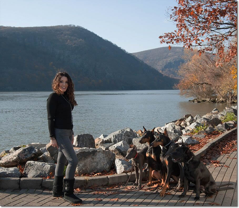 Westchester K-9 – Serving Westchester, Putnam, CT, NYC