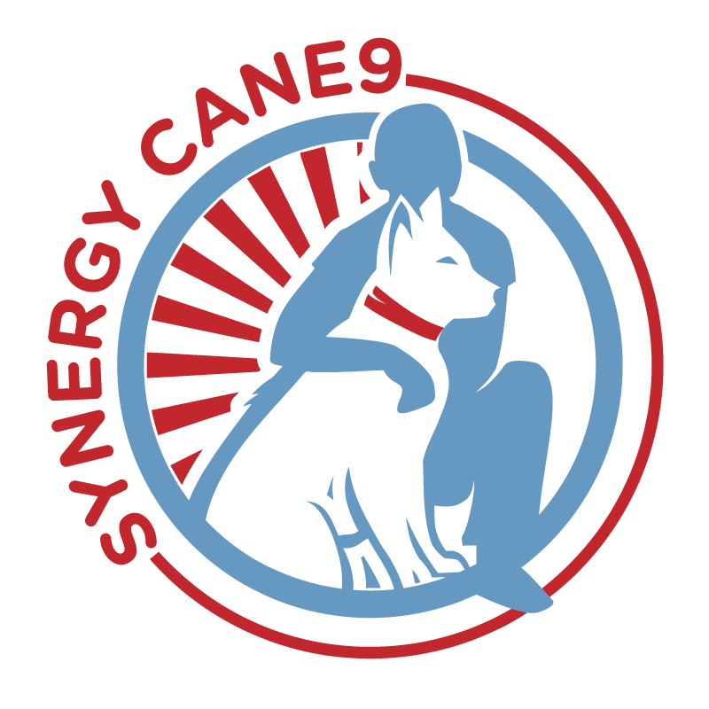 Synergy Cane9