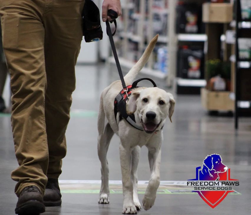 Freedom Paws Service Dogs Foundation