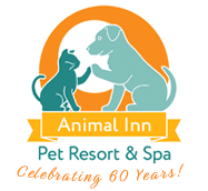 Companionship Dog Training at Animal Inn Pet Resort
