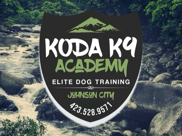 Koda K-9 Academy