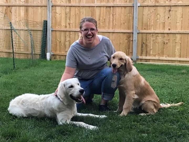 Niagara K9 Dog Training