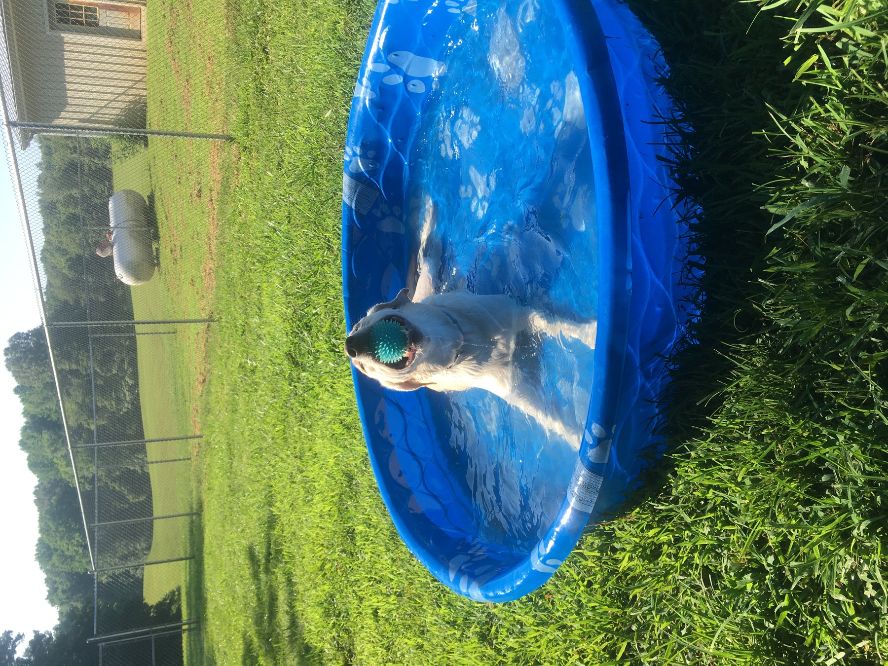 Masters Boarding Kennels