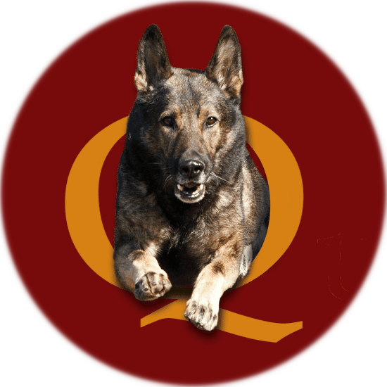 Quality Canine Dog Training Services, LLC logo