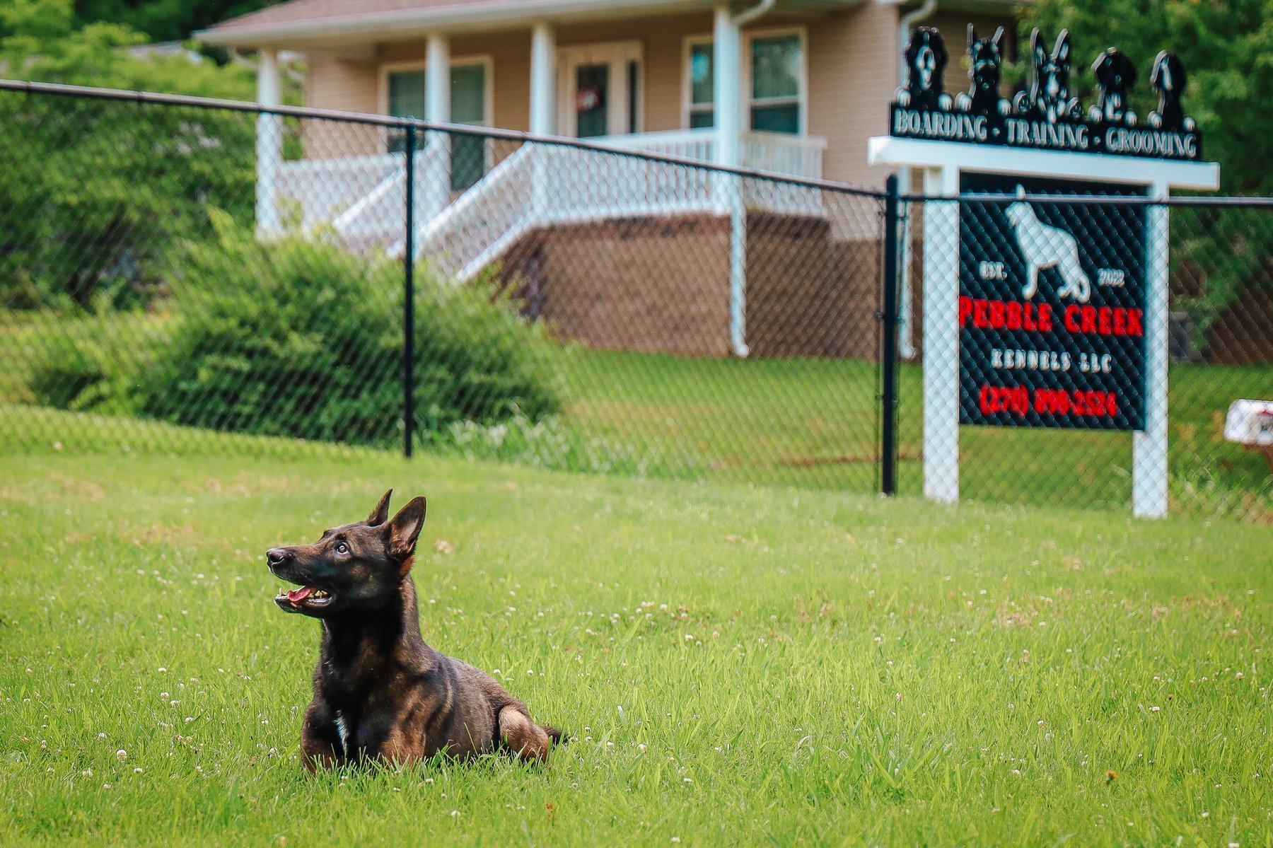 Pebble Creek Kennels